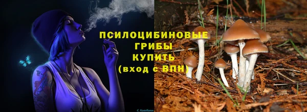 гидропоника Абинск